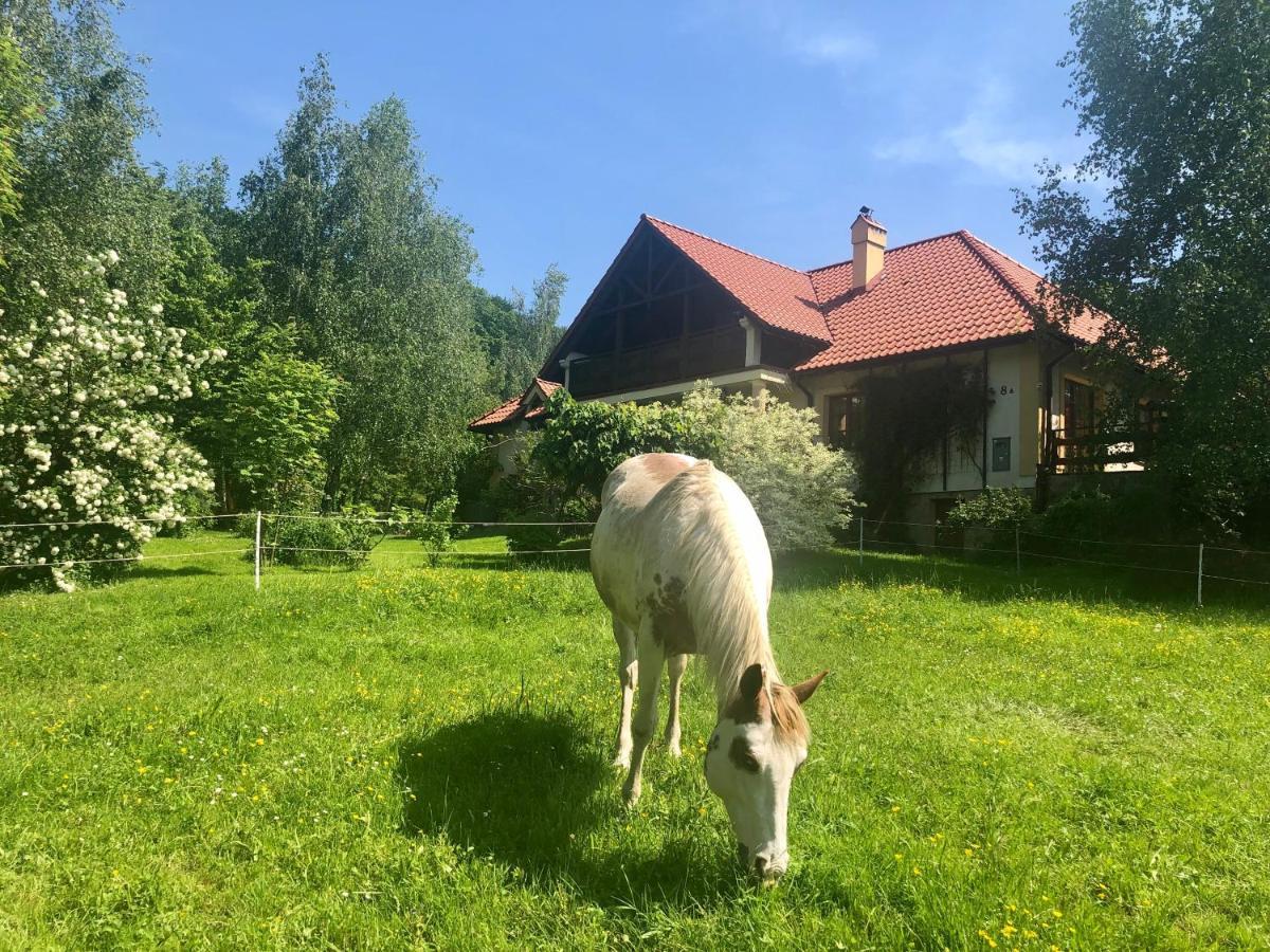 Bed and Breakfast Modryna Ranczo Красичин Экстерьер фото